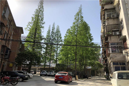 东平[御景华庭]，因要外出发展，需紧急出售房屋，现以封顶完成